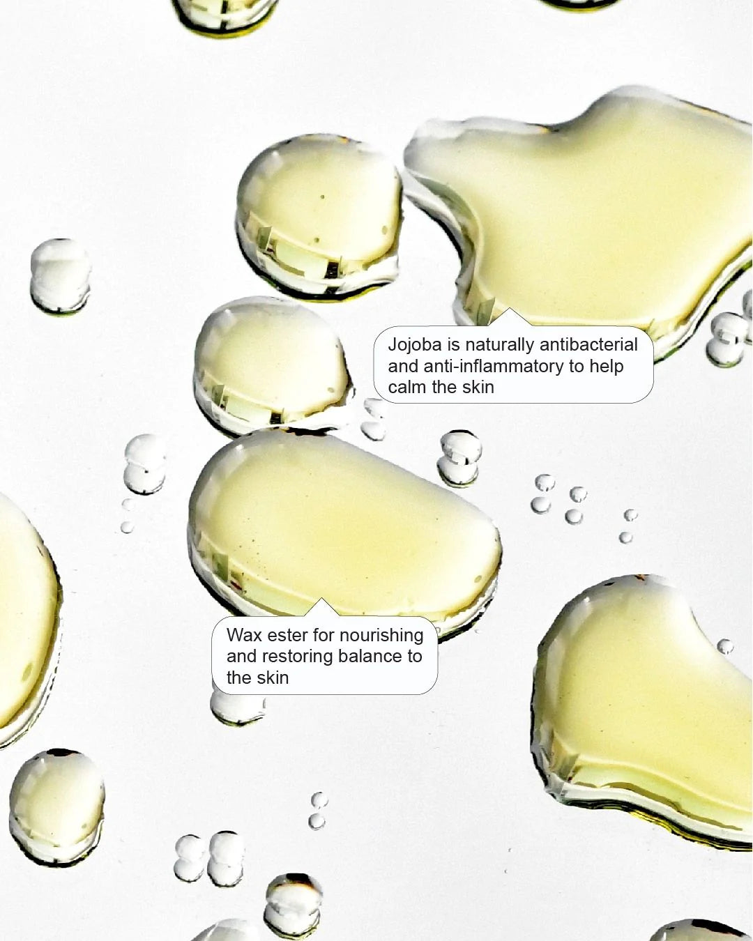 Jojoba Face Oil