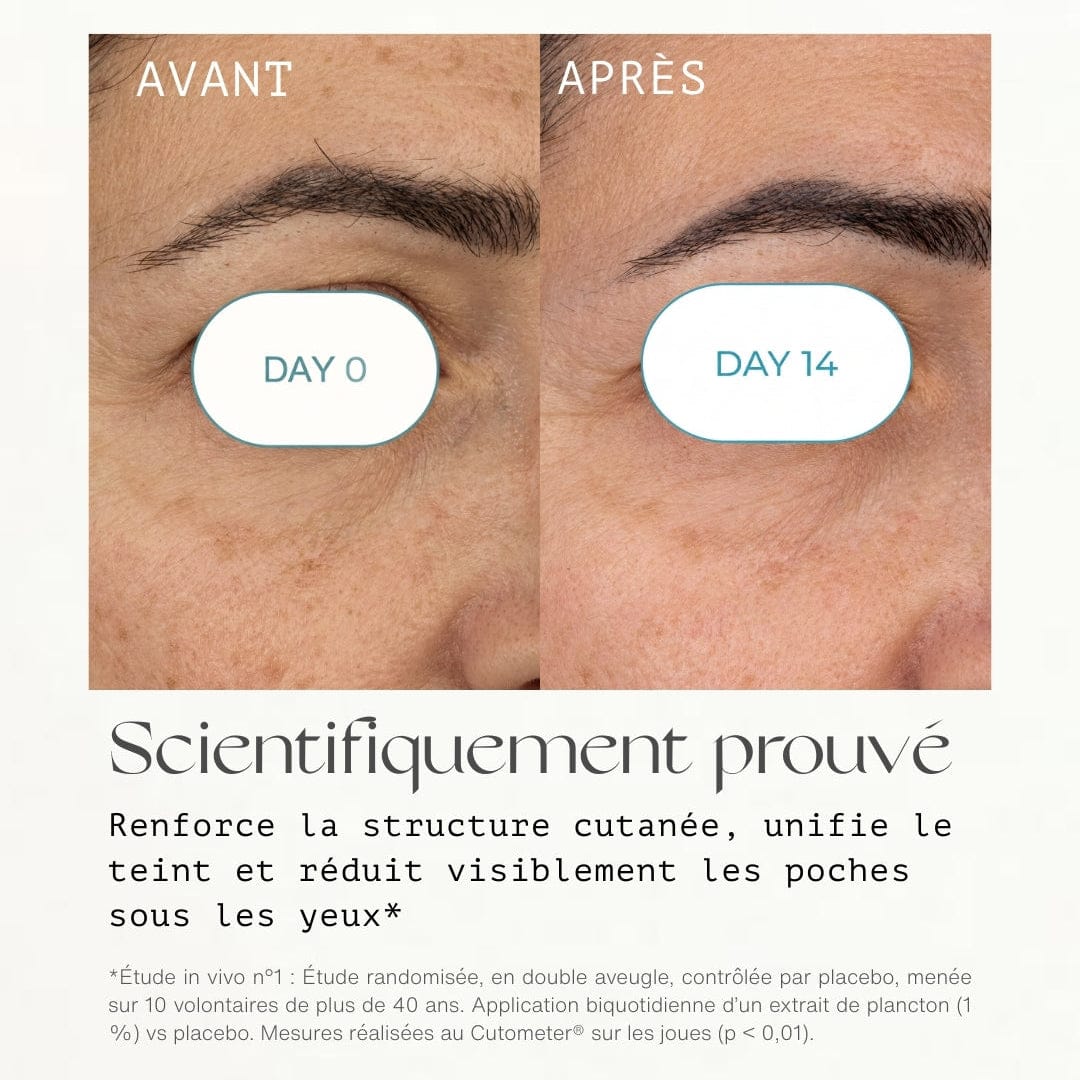 N°6 Lotion Hydratante Visage - Facial Fluid