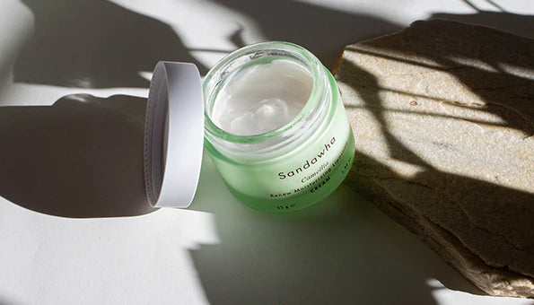 Camellia Liposome Renew Moisturizing Cream