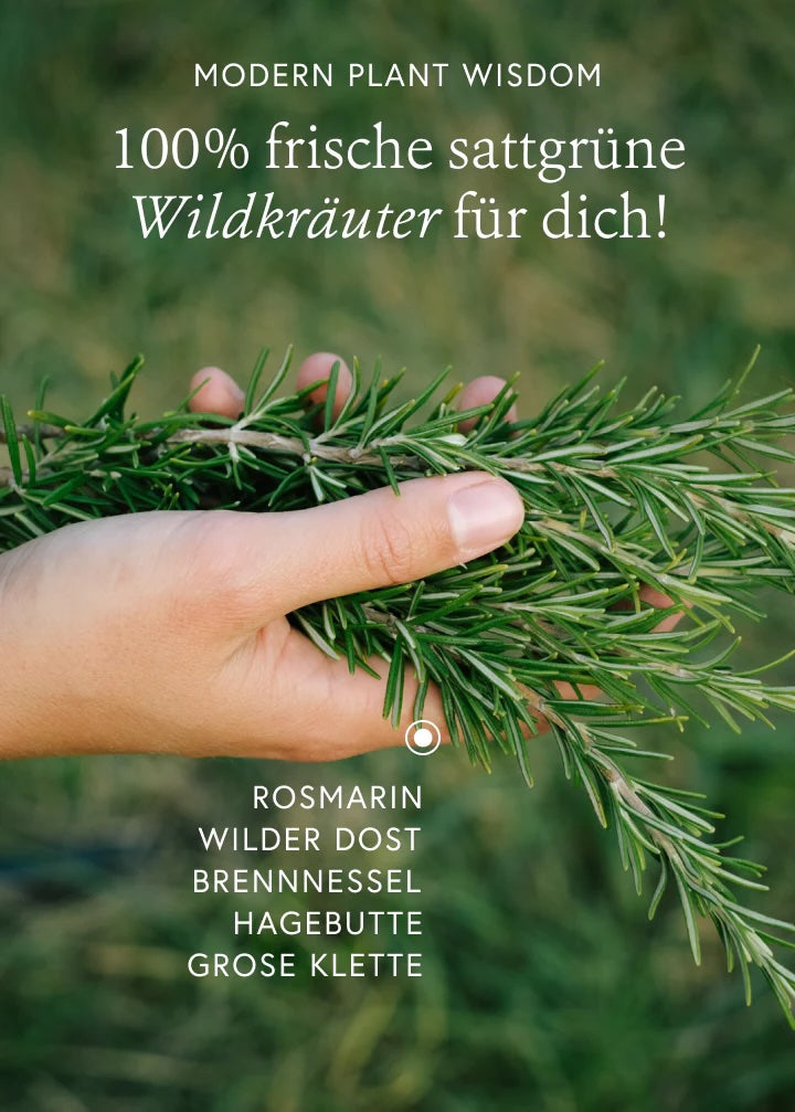 Wildkräutertinktur "Herbal Boost"