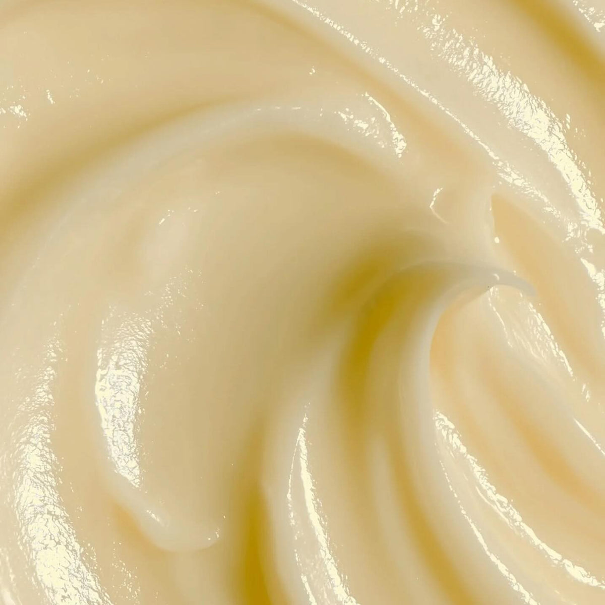 The Rich Cream - Face Cream