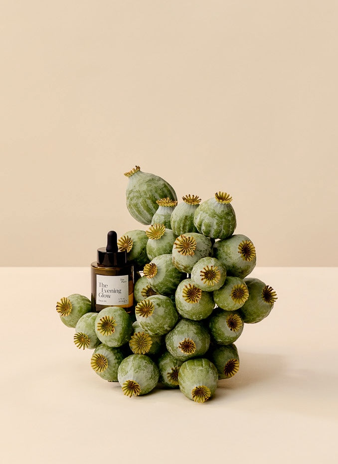 The Evening Glow | Revitalizing Facial Oil