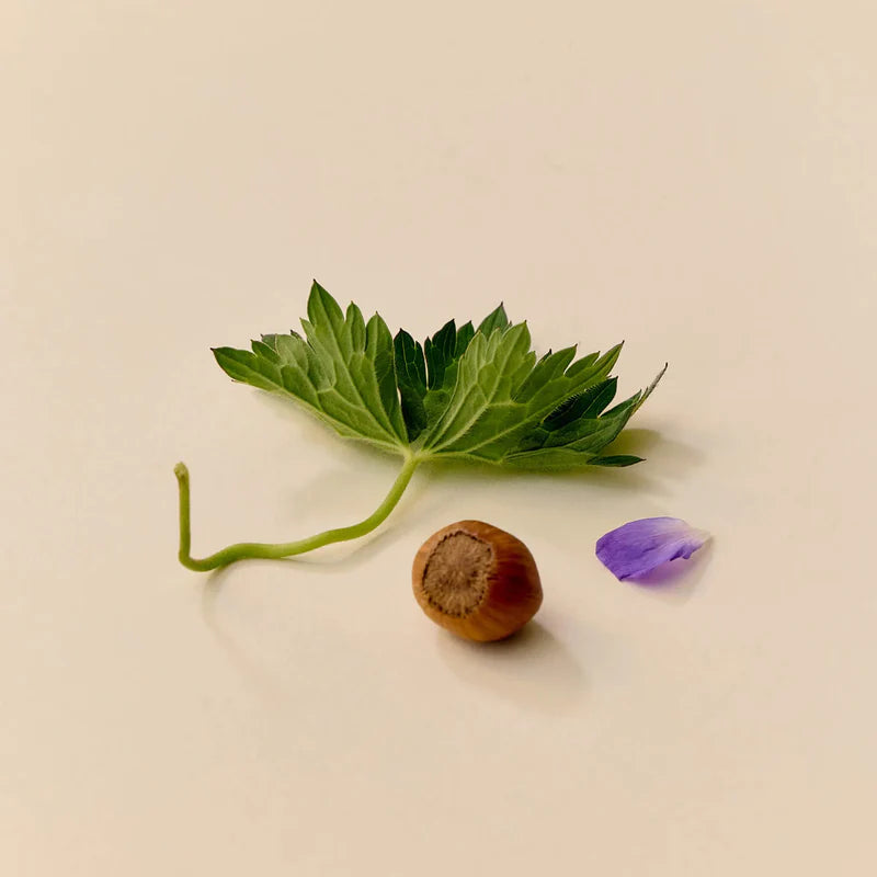 The Morning Glow | Belebendes Gesichtsöl