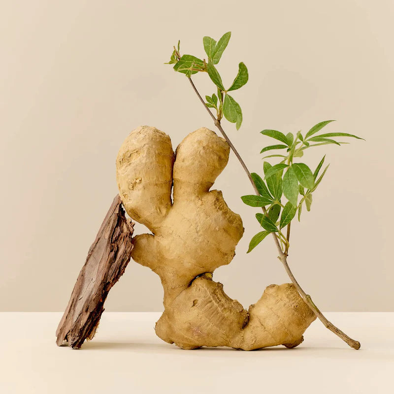 The Hug | Soothing Menstural Cream