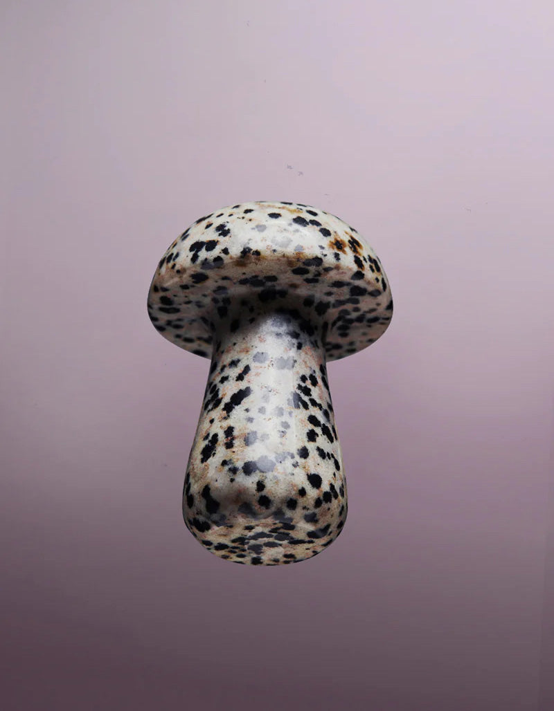 Gua-Shroom "Dalmatian"