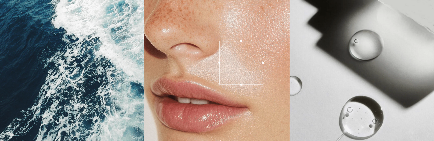 Spring Routine Update