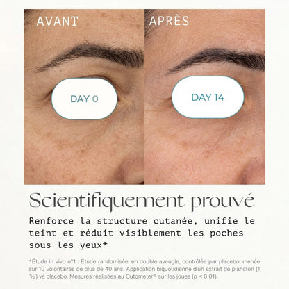 N°6 Lotion Hydratante Visage - Facial Fluid