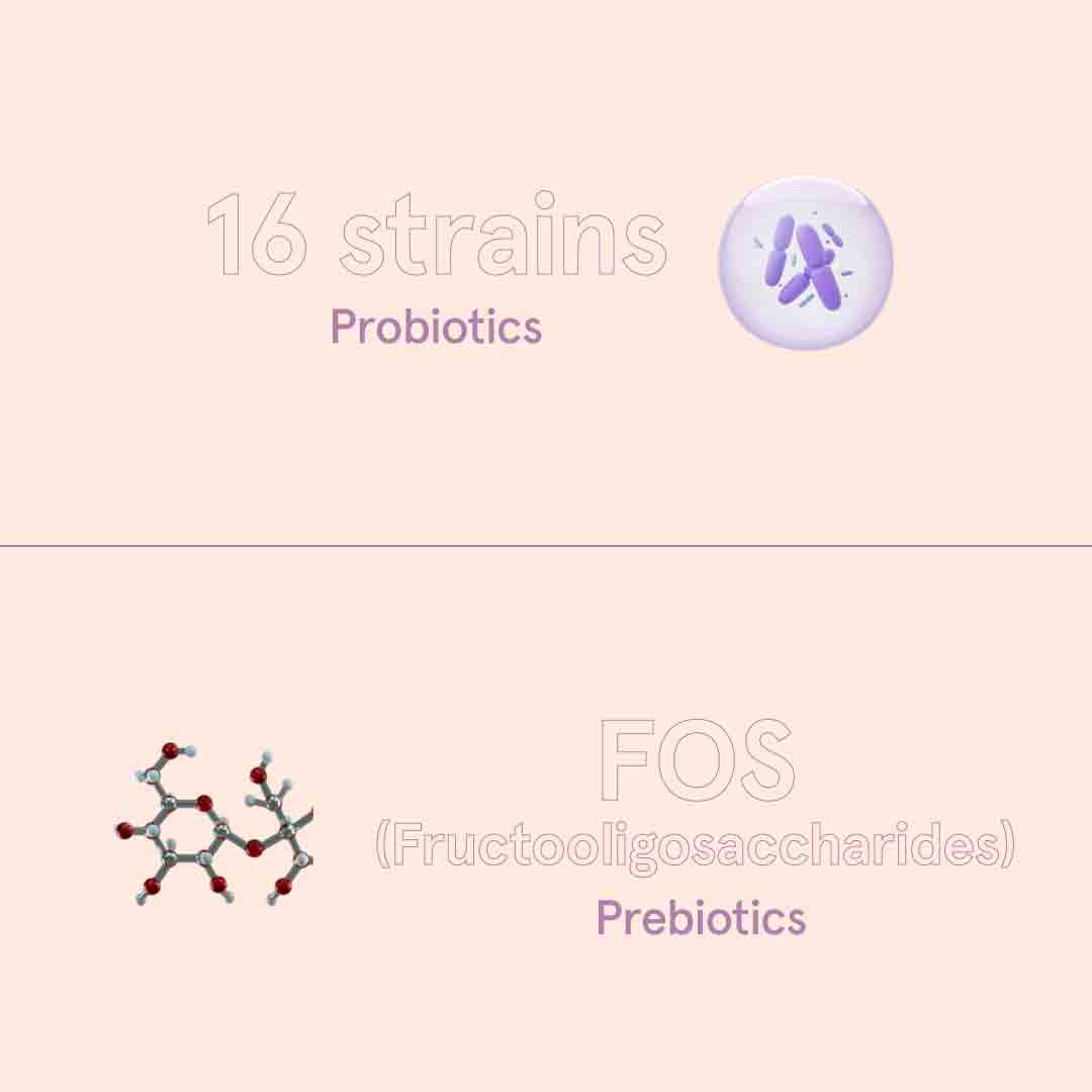 Probiotic + Prebiotic Blend