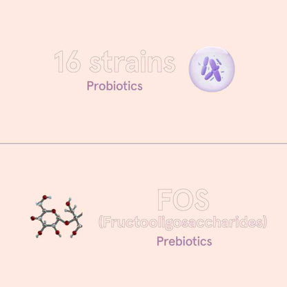 Probiotic + Prebiotic Blend