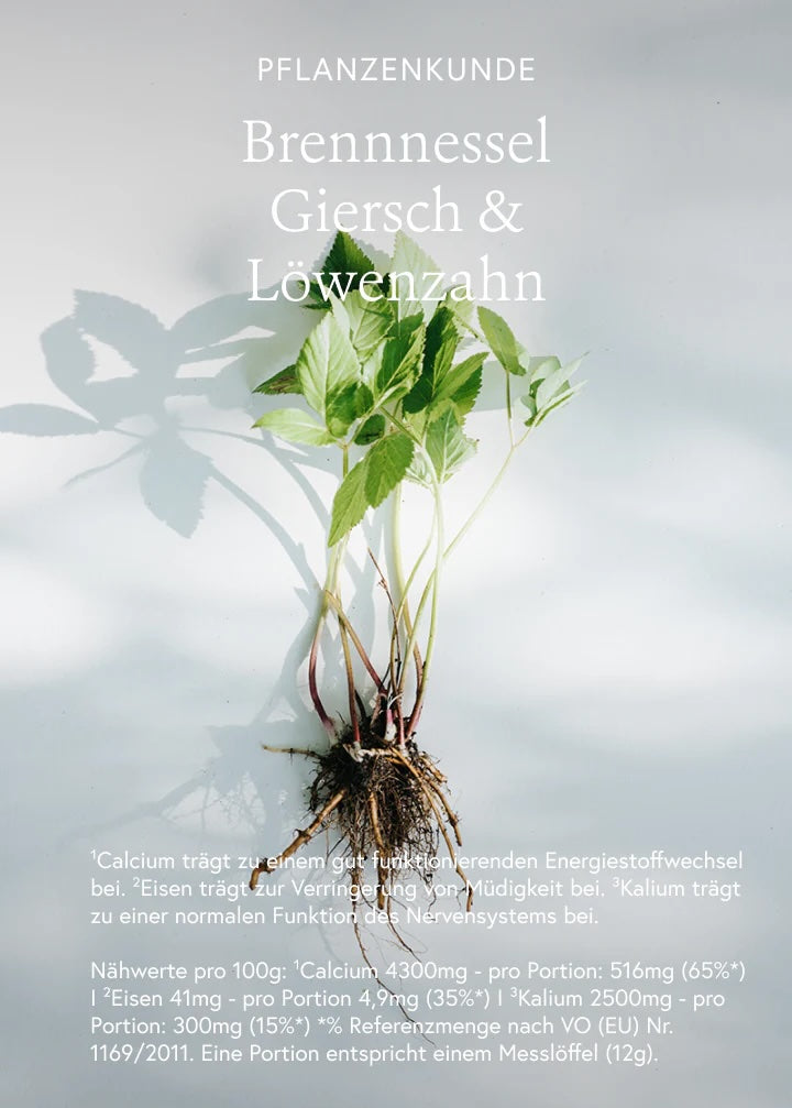 Heimische Superfoods "Fokus + Energie"