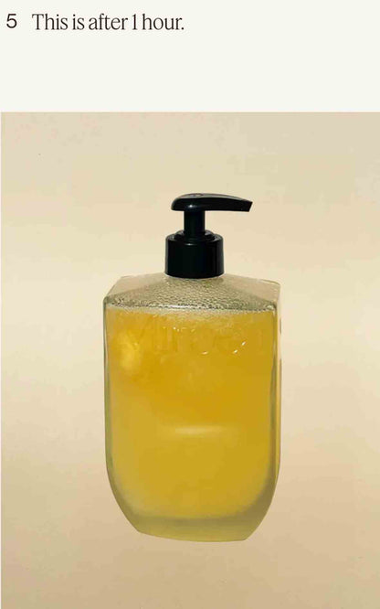 REFILL Hand &amp; Body Wash "Fig Treet + Peppermint"