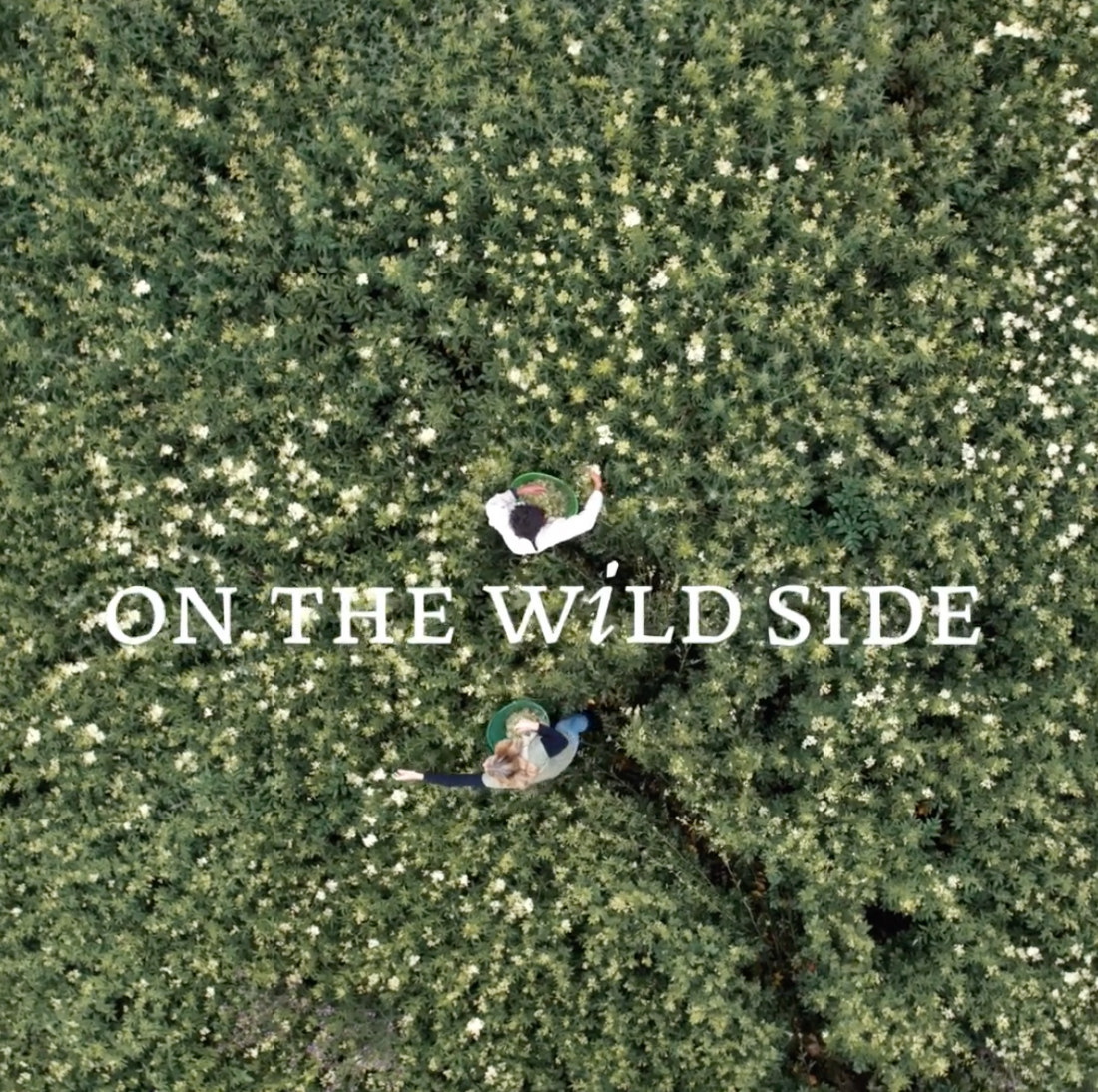 Masque Soin Cheveux - Haarpflegemaske