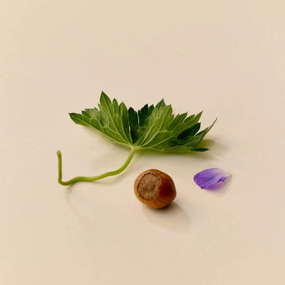 The Morning Glow | Belebendes Gesichtsöl