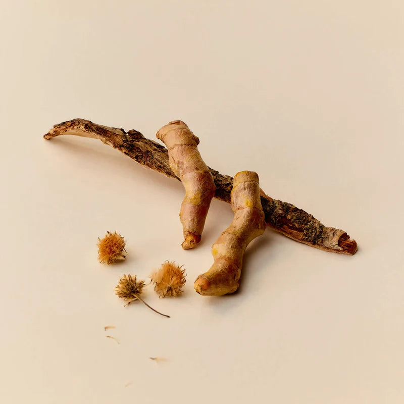 The Blissful Day | Soothing Muscle Cream