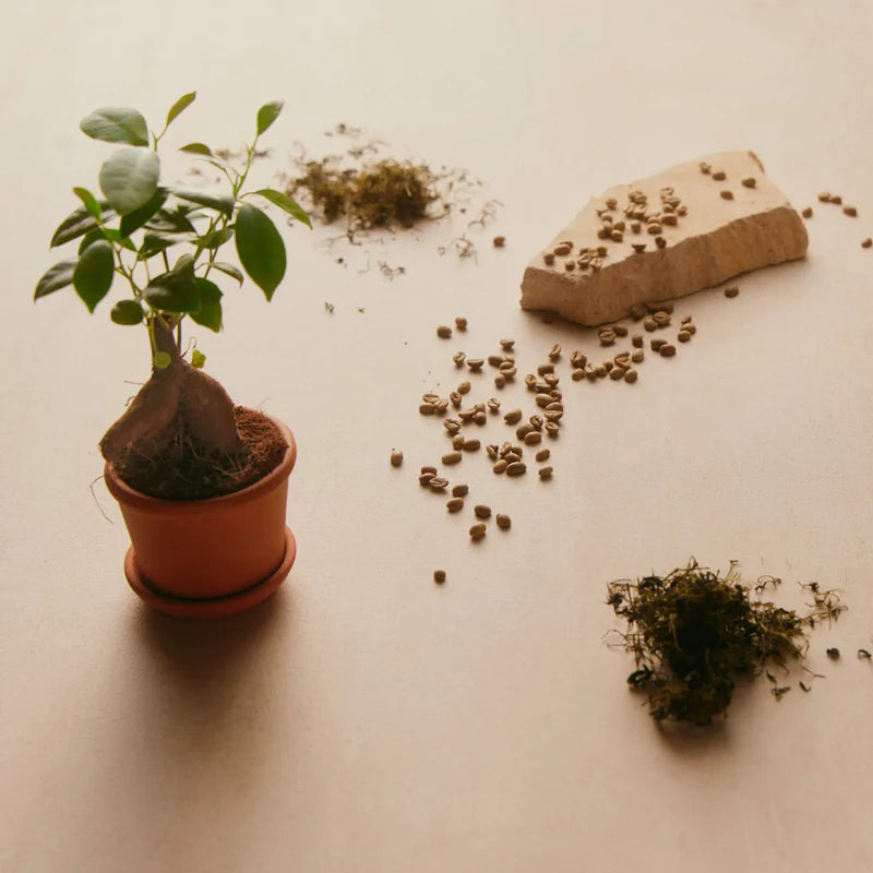 Play It Cool | Stärkendes Augengel