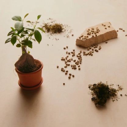 Play It Cool | Stärkendes Augengel