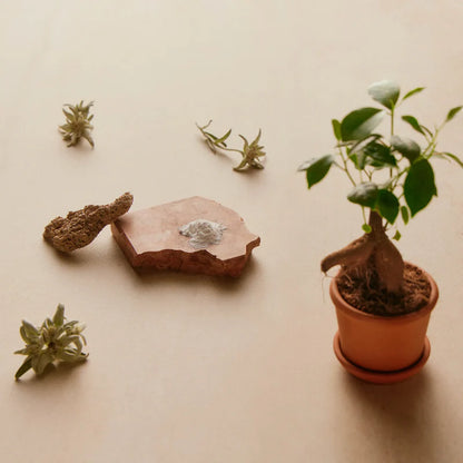 Right As Rain | Hyaluron Serum