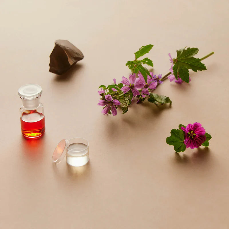 Time Will Tell | Well-Aging Serum