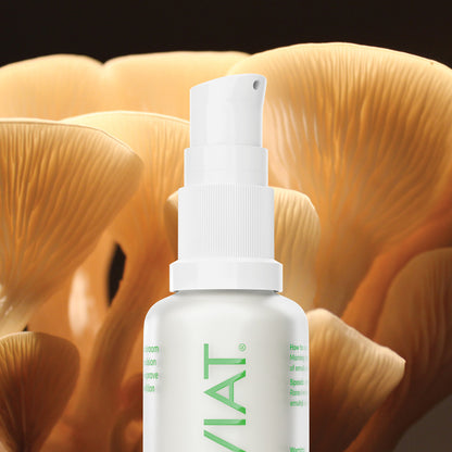 SUPER MUSHROOM Facial Emulsion